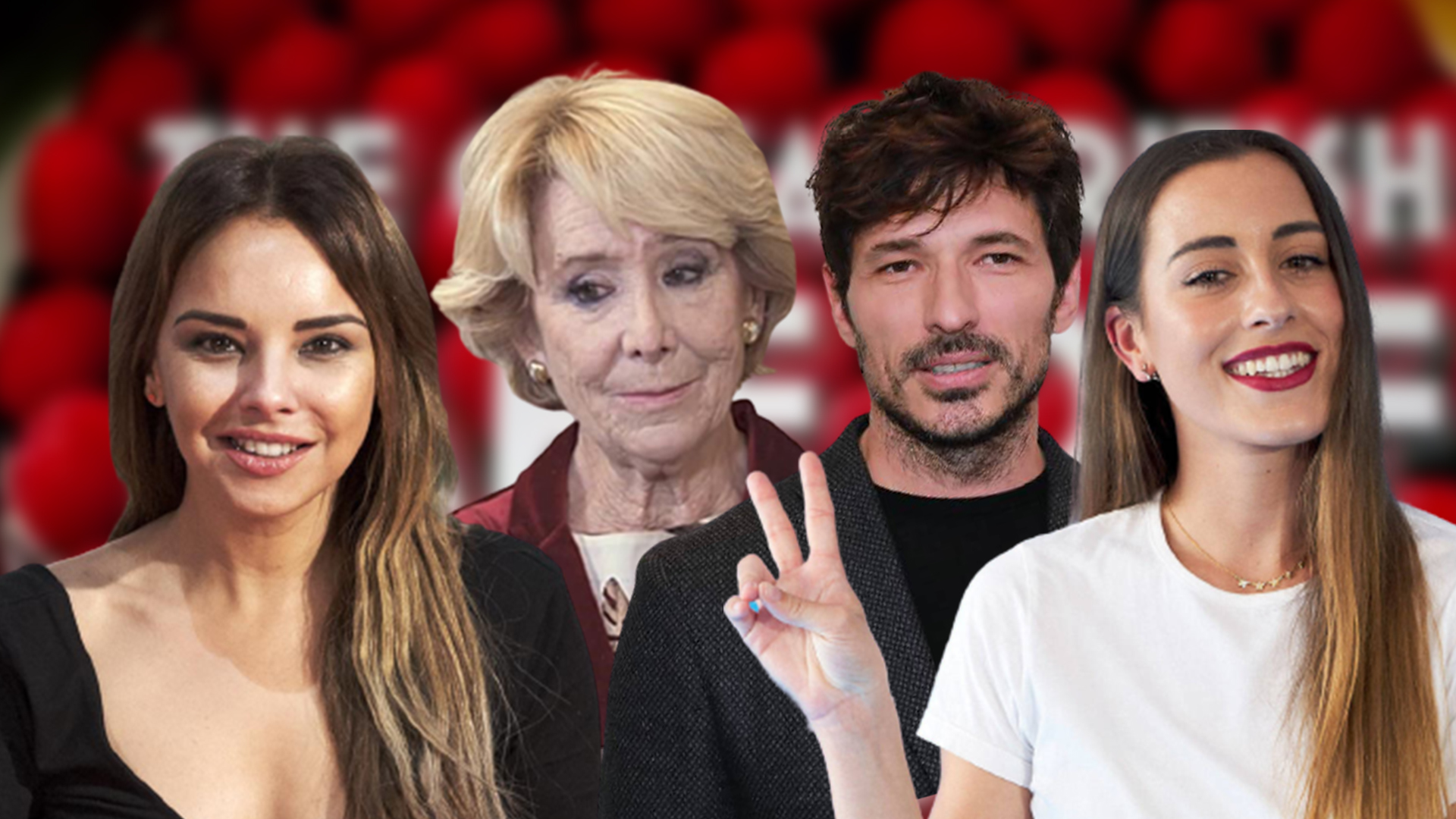 foto bake off