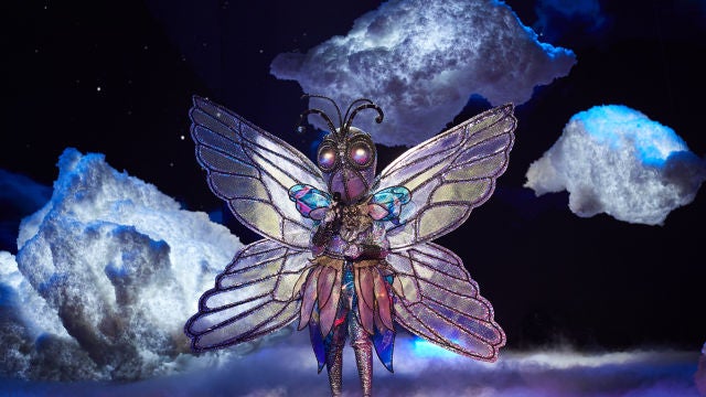 mariposa